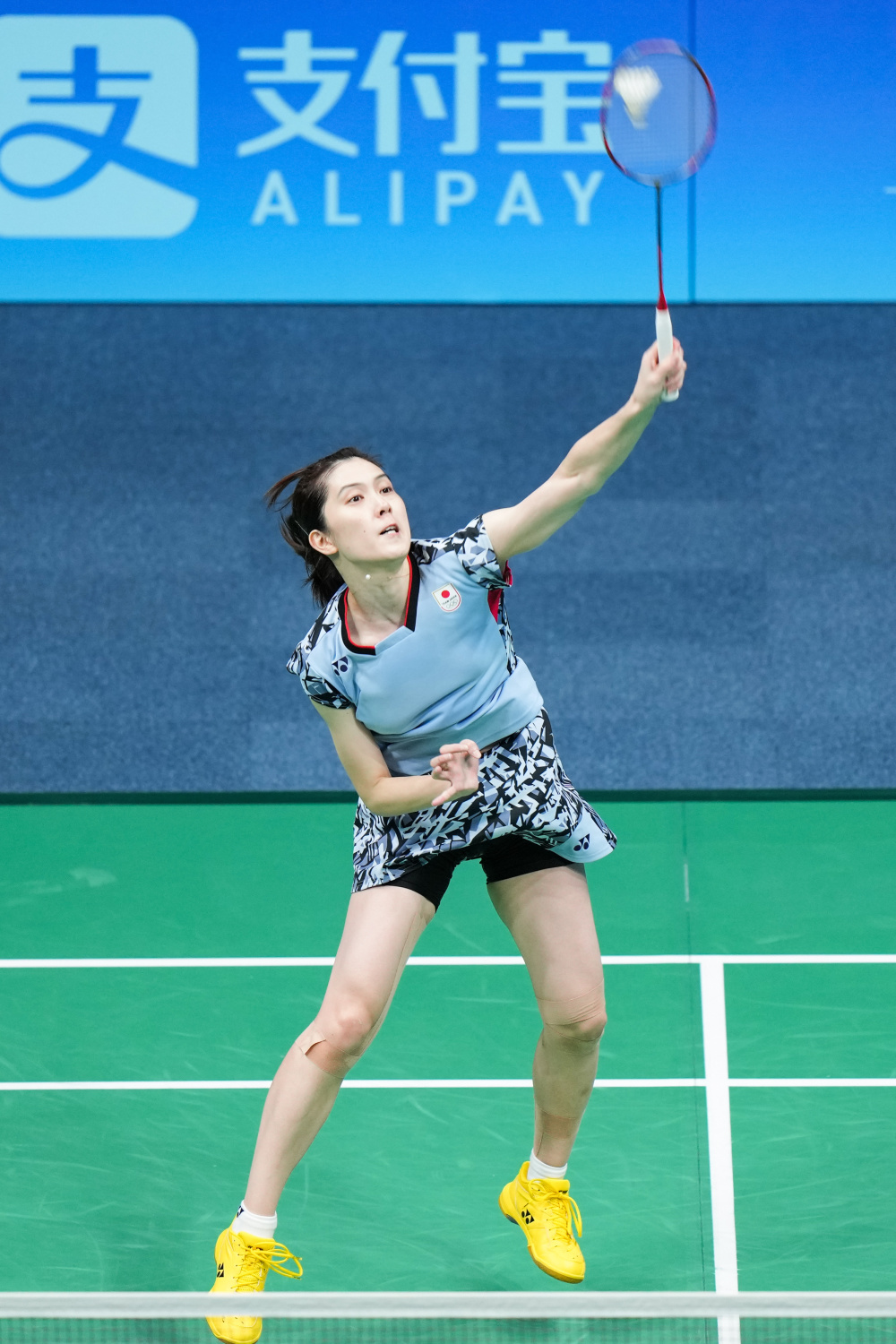 在计划竞选 在计划竞选