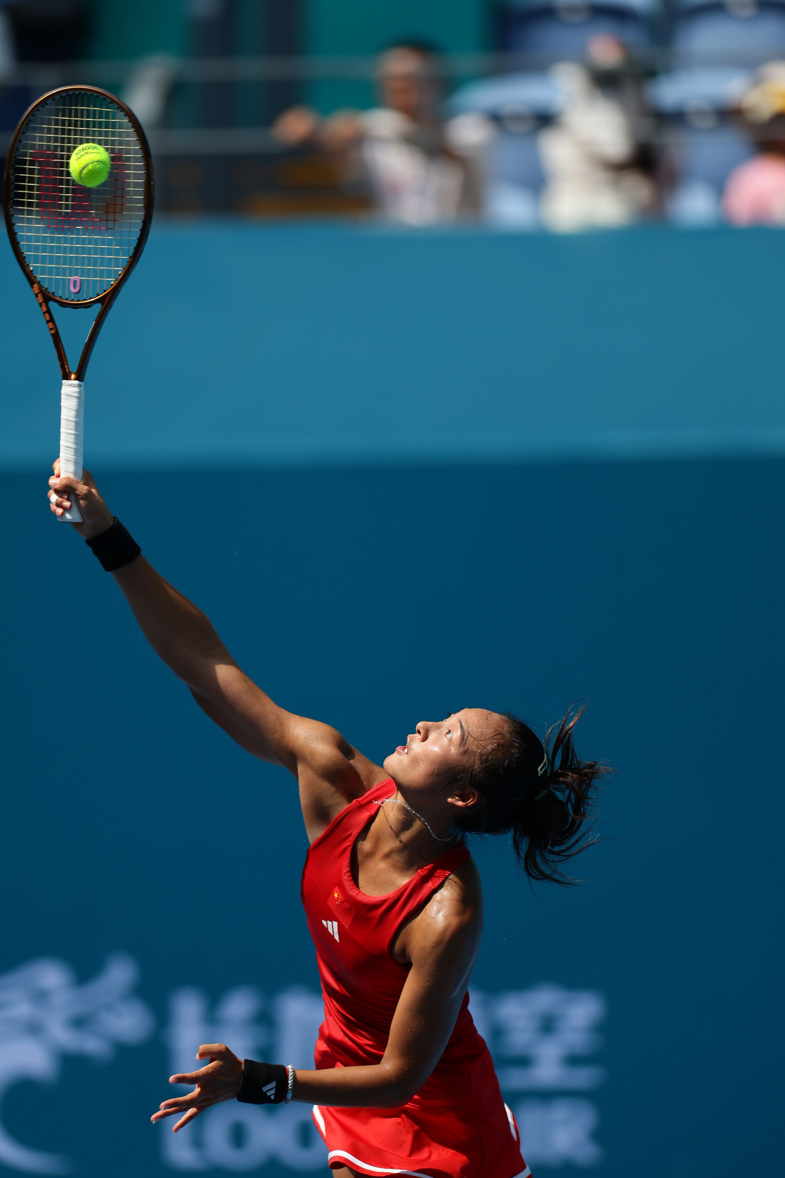 一定会收获 一定会收获